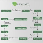 JHD Factory Price L-Theanine EGCG Tea Polyphenols Green Tea Extract Powder