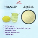 JHD USA/EU Warehouse Ready Stock Instant Spray Drying Mango Flavor Juice Powder for Drink