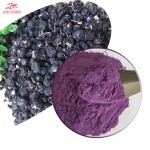 JHD Chinese Black Wolfberry 4:1- 20:1 Anthocyanidin Black Goji Berry Extract Powder