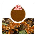 JHD Organic Coriolus Versicolor Turkey Tail Mushroom Extract Powder