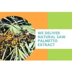 US Stock 100% Natural Health Supplement 4:1 10:1 Saw Palmetto Extract Powder