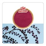 US / EU Warehouse Wholesale Dried Supply Plant Extract Organic Black Elderberry Fruit Juice Powder