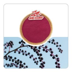 US / EU Warehouse Wholesale Dried Supply Plant Extract Organic Black Elderberry Fruit Juice Powder