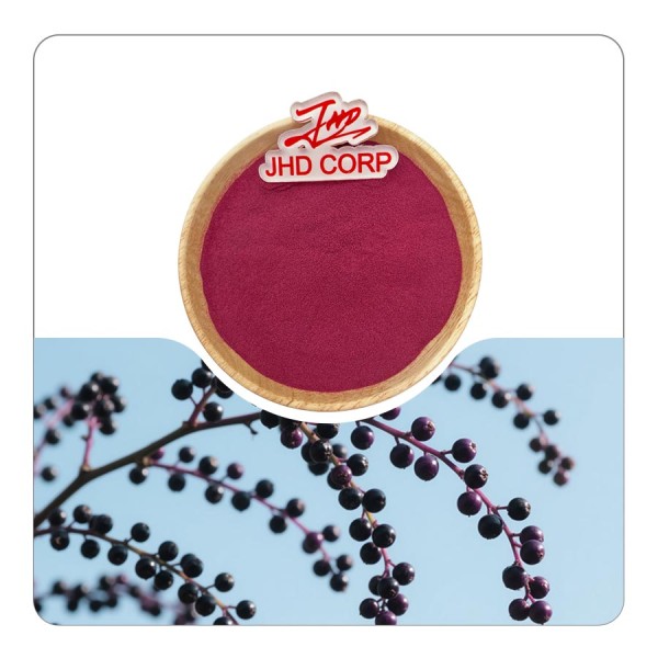 US / EU Warehouse Wholesale Dried Supply Plant Extract Organic Black Elderberry Fruit Juice Powder