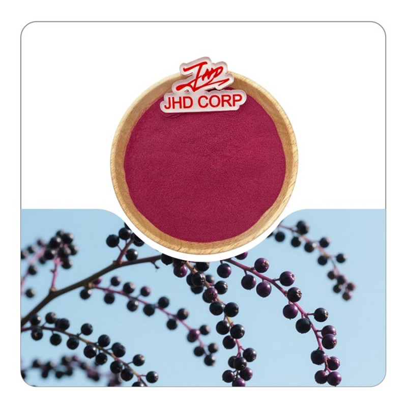 US / EU Warehouse Wholesale Dried Supply Plant Extract Organic Black Elderberry Fruit Juice Powder