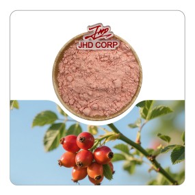 JHD工厂批发植物提取即时有机玫瑰果提取粉玫瑰果粉