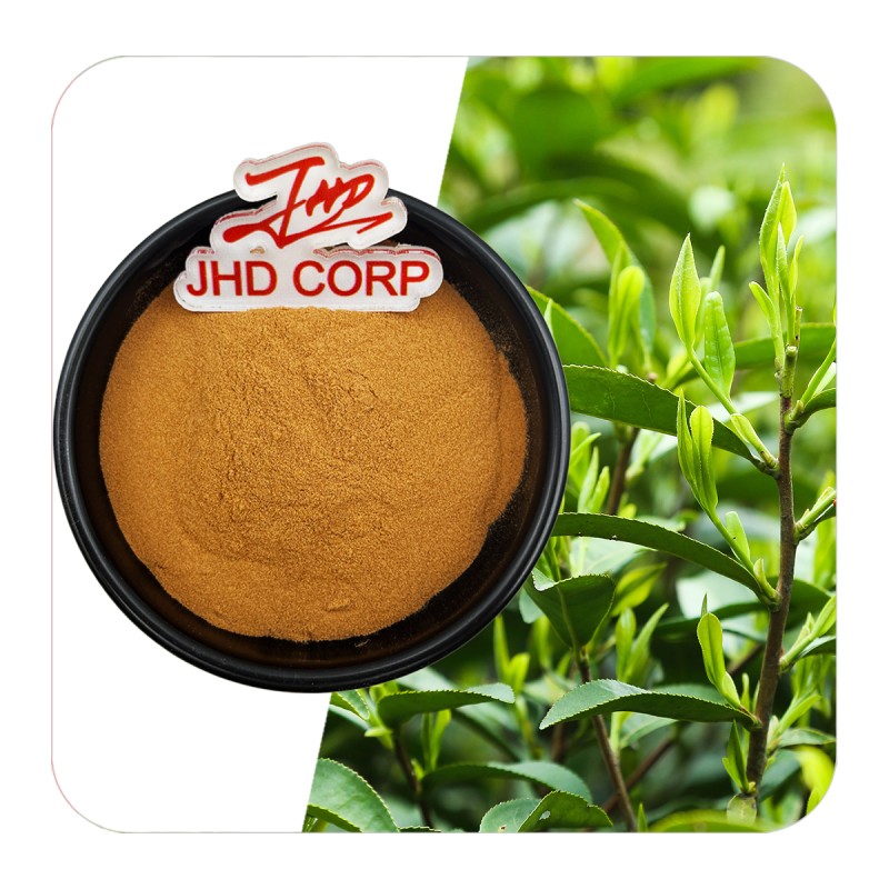 JHD Factory Price L-Theanine EGCG Tea Polyphenols Green Tea Extract Powder
