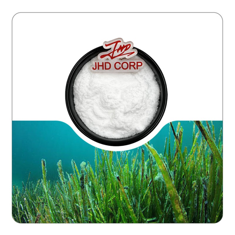 EU Warehouse Health Supplement 10 % 20 % DHA Oil Powder