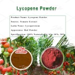 US / EU Warehouse Bulk Plant Extract Natural Bulk Supplement Powder Pure Food Grade 5% 10% Lycopene Tomato Extract