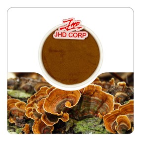 JHD High Quality Turkey Tail Mushroom Trametes Versicolor Extract Powder of EU Stock