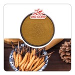 JHD Wholesale Organic Mushroom Cordyceps Militaris Extract Powder Cordyceps Sinensis Militaris Extract Powder