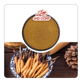 JHD Wholesale Organic Mushroom Cordyceps Militaris Extract Powder Cordyceps Sinensis Militaris Extract Powder