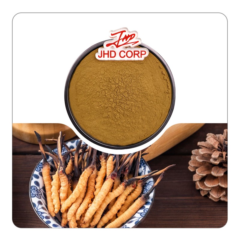 JHD Wholesale Organic Mushroom Cordyceps Militaris Extract Powder Cordyceps Sinensis Militaris Extract Powder