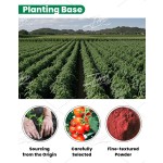 US / EU Warehouse Bulk Plant Extract Natural Bulk Supplement Powder Pure Food Grade 5% 10% Lycopene Tomato Extract