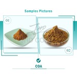 US Canada German Warehouse Stocks Supply Organic Dried Lion's Mane Mushroom Extract Powder