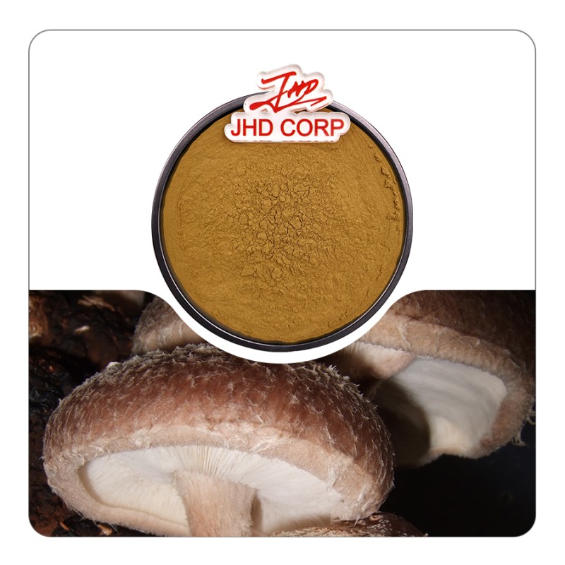 JHD Free Sample Nutritional Supplement Organic 4:1 Shitake Mushroom Extract