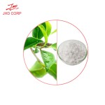High-quality Green Tea Extract Top Grade 99% Theanine White Powder