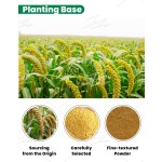 USA EU Warehouse Natural Herbal Extract Panicum Miliaceum Seed Extract Powder 10:1 Millet Seed Extract Powder