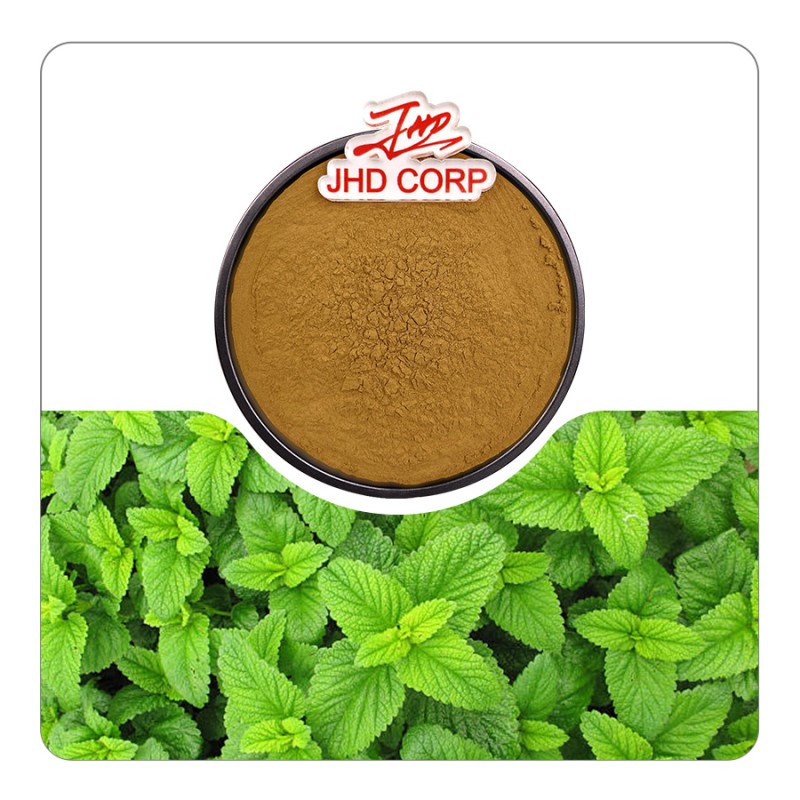 JHD Warehouse Supply Plant Extract Natural Rosemarinic Acid Lemon Balm Extract Powder
