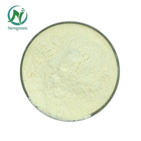Newgreen Manufacturer Supply High Quality Food Additives Modified Citrus Pectin Powder