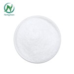 Newgreen Sale Food Grade CLA Powder Oil Food Grade Safflower Extract Conjugated Linoleic Acid Powder