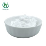 Newgreen Factory Supply D-biotin 1% 98% Vitamin H Food Grade Biotin Powder