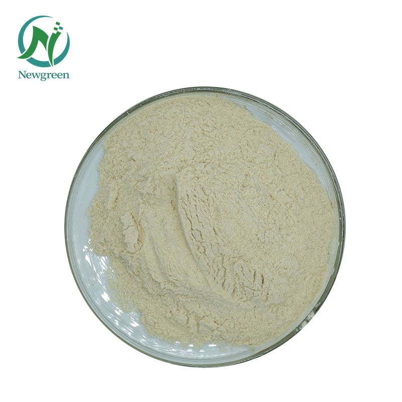 Newgreen Best Price Selenium Enriched Yeast Powder Selenium Powder Food Grade