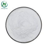 Newgreen Supply High Quality  Food Grade Fructooligosaccharide High Quality Good Price