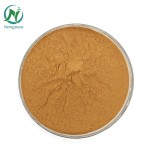 High Quality Irish Sea Moss Powder Irish Sea Moss Capsules With Best Price