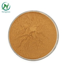 High Quality Irish Sea Moss Powder Irish Sea Moss Capsules With Best Price
