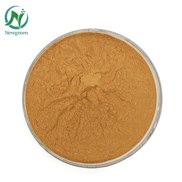 High Quality Irish Sea Moss Powder Irish Sea Moss Capsules With Best Price