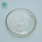 Newgreen Supply High Quality Sweetness Lactose Free of Milk