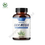 Newgreen Factory OEM Private Label Sea Moss Extract Powder Organic Sea Moss Capsules
