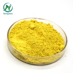 High Quality Berberis Aristata Extract 98% Berberine HCL/Berberine Hydrochloride