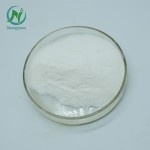 Newgreen Supply Food Grade 99%  Lactic Acid Powder