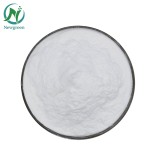 Newgreen Supply High Quality  Food Grade Fructooligosaccharide High Quality Good Price