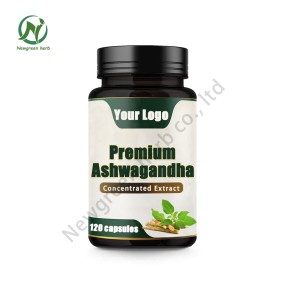 Newgreen Factory OEM Private Label Ashwagandha Extract Capsules Ashwagandha Capsule