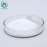 Newgreen Supply High Quality  Food Grade Sodium Cyclamate Powder Sweeteners