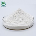 High Quality L-carnitine Powder Best Quality 99%min Customizable L-Carnitine Powder
