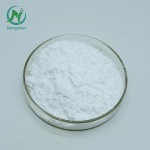 Newgreen Supply Food Grade Lactobacillus Gasseri Probiotics