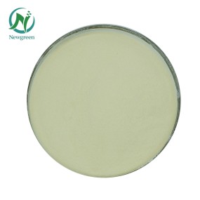 Newgreen Manufacturer Supply High Quality Low Methoxyl Pectin Price Apple Pectin Powder