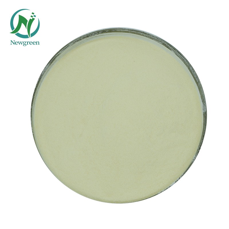 Newgreen Manufacturer Supply High Quality Low Methoxyl Pectin Price Apple Pectin Powder