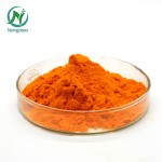 Wholesale 98% Natural Aloe Vera Extract Good Quality Herbal Powder Aloe-Emodin HPLC Test Method Packaged in Drums