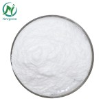 Best Price Food Supplement Probiotics Streptococcus Thermophilus