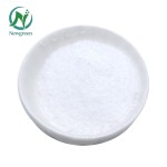 Wholesale Newgreen Hot Sell  Food Grade N-acetyl-l-carnosine L-carnosine Powder