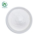 Newgreen Supply Natural Sweetener Thaumatin 99% Cas 53850-34-3 Thaumatin Powder