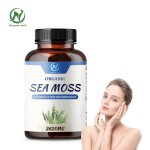 Newgreen Supply Sea Moss Plus Bladderwrack Powder Capsules