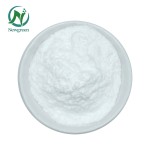 Supply Probiotics Powder Lactobacillus Paracasei Probiotics With Best Price