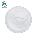 Newgreen Wholesale Bulk Food Additive CAS 14783-68-7 Magnesium Glycinate 14%