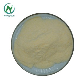 Newgreen Supply High Quality Pure Organic Pine Pollen Powder
